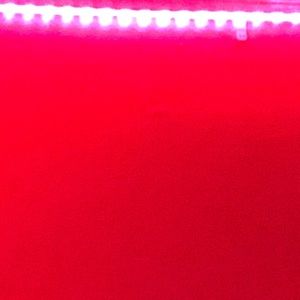 Meet your Posher, Kaelyn